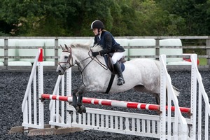 Class 7 - Fences 3' to 3'3